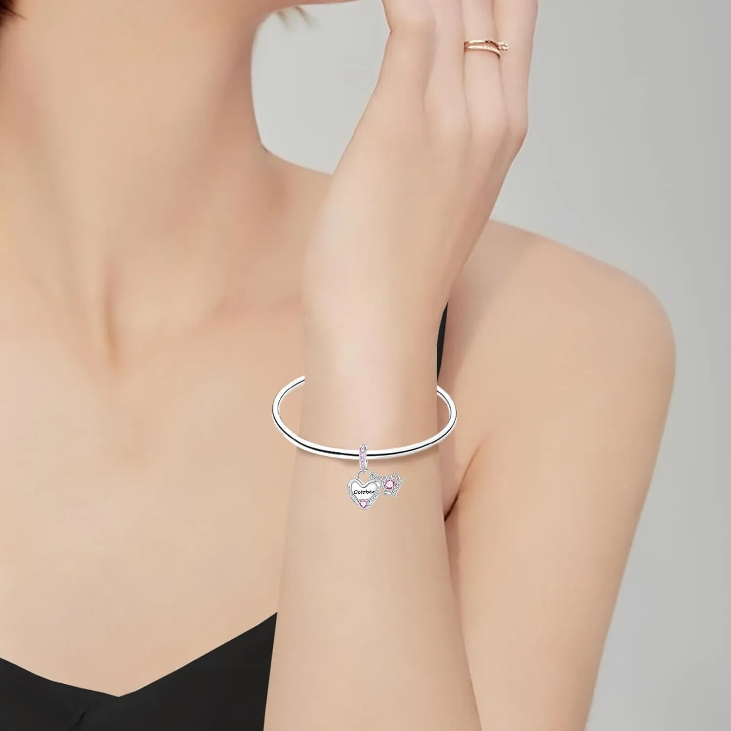 Birthstone Charms 925 Sterling Silver Cubic Zirconia Heart Dangle Charms fit for Bracelets and Necklaces Jewelry Gift