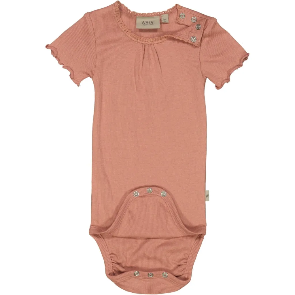 Body Rib Lace SS - cameo brown