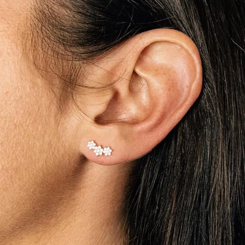 Flower Shaped Stud Earrings for Women 925 Sterling Silver Ear Needle Colored Zircon Stud Earrings Versatile Personality Earrings Jewelry Gifts