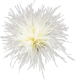 Ostrich Feather Brooch Pins Jewelry Scarf Clip Feather Corsage Pin Lapel Pins for Dress Sweater Scarf,Wedding Decoration